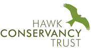 Hawk Conservancy Trust logo